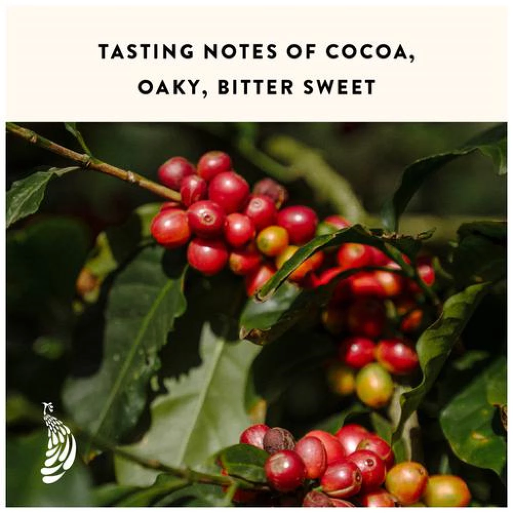 Blue Tokai Coffee Roasters - Dark Vienna Roast, 250 g Pouch-7.webp